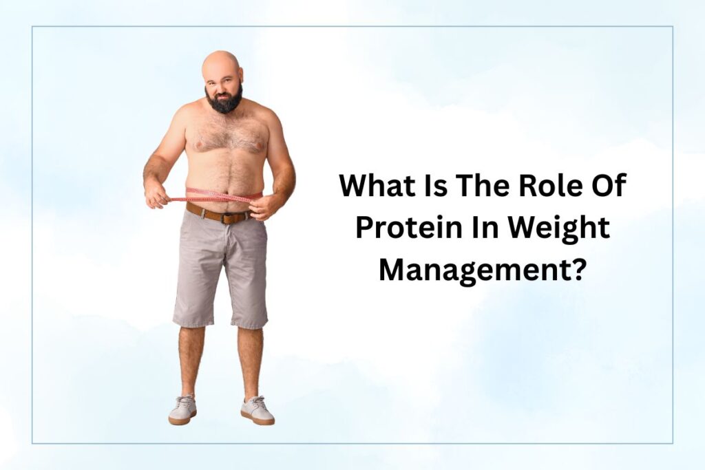 What Is The Role Of Protein In Weight Management